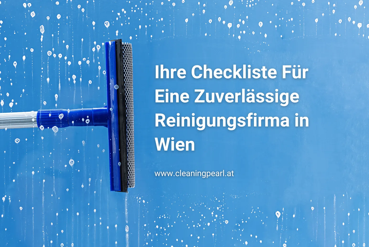 Checkliste Für Eine Zuverlässige Reinigungsfirma in Wien